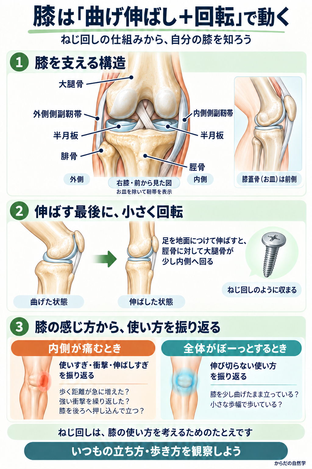 膝の骨・半月板・内外側の靭帯、曲げた状態と伸ばした状態、膝の使い方を振り返る二つの目安をまとめた図解